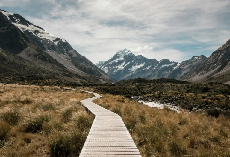 Boardwalk leading towards the mountains in New Zealand