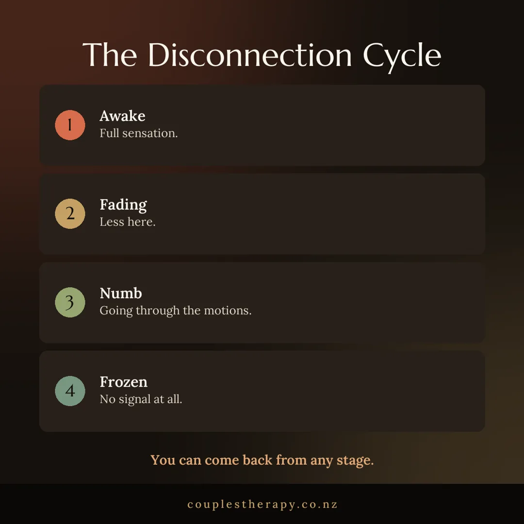 The disconnection cycle: awake, fading, numb, frozen